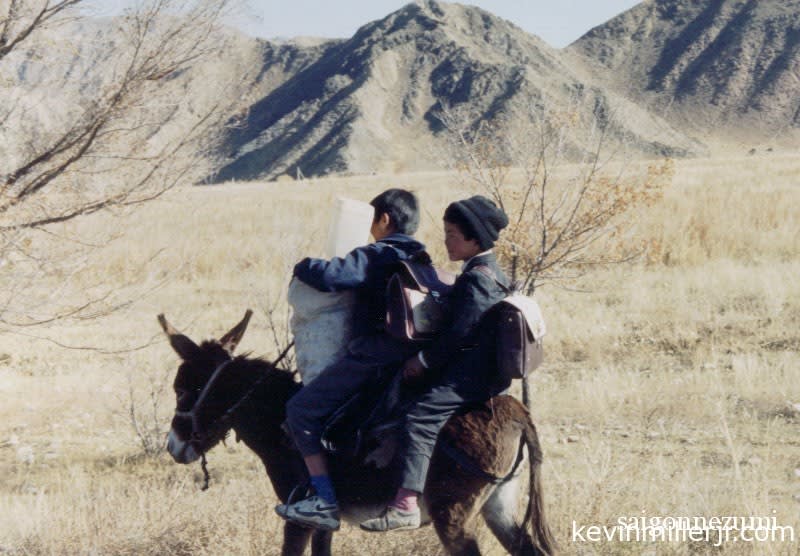 Kyrgyz boys on a donkey- Naryn, Kyrgyzstan