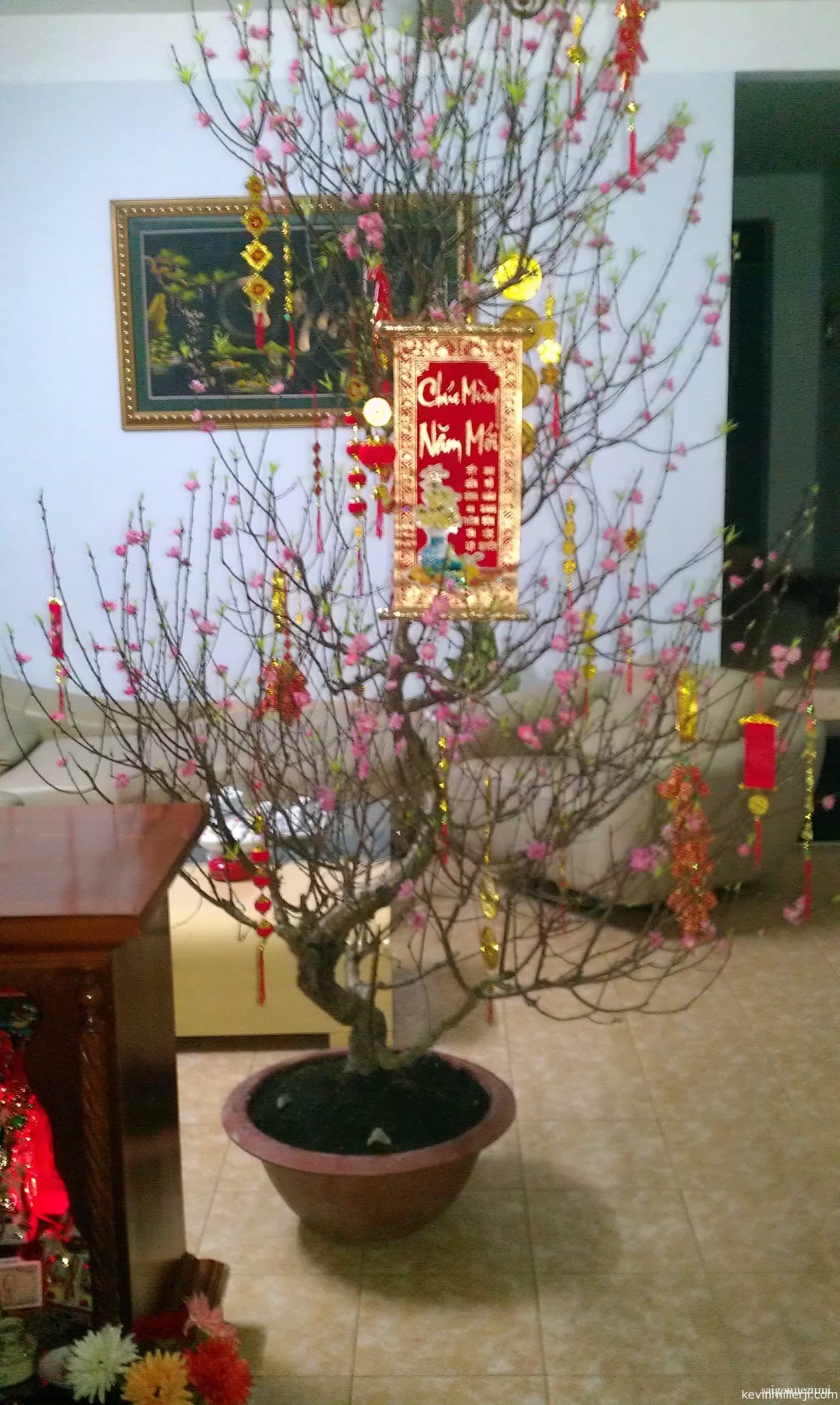 Tet Tree in Saigon, Vietnam