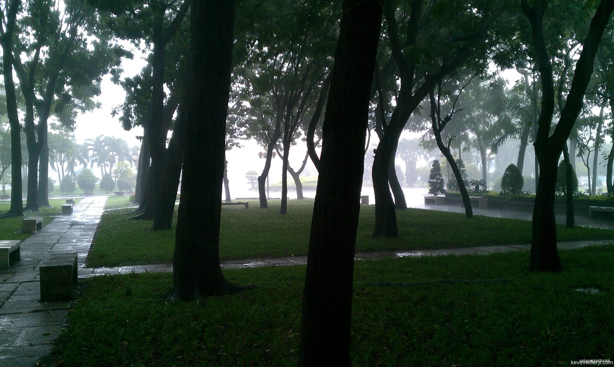 Saigon Downpour (2012)