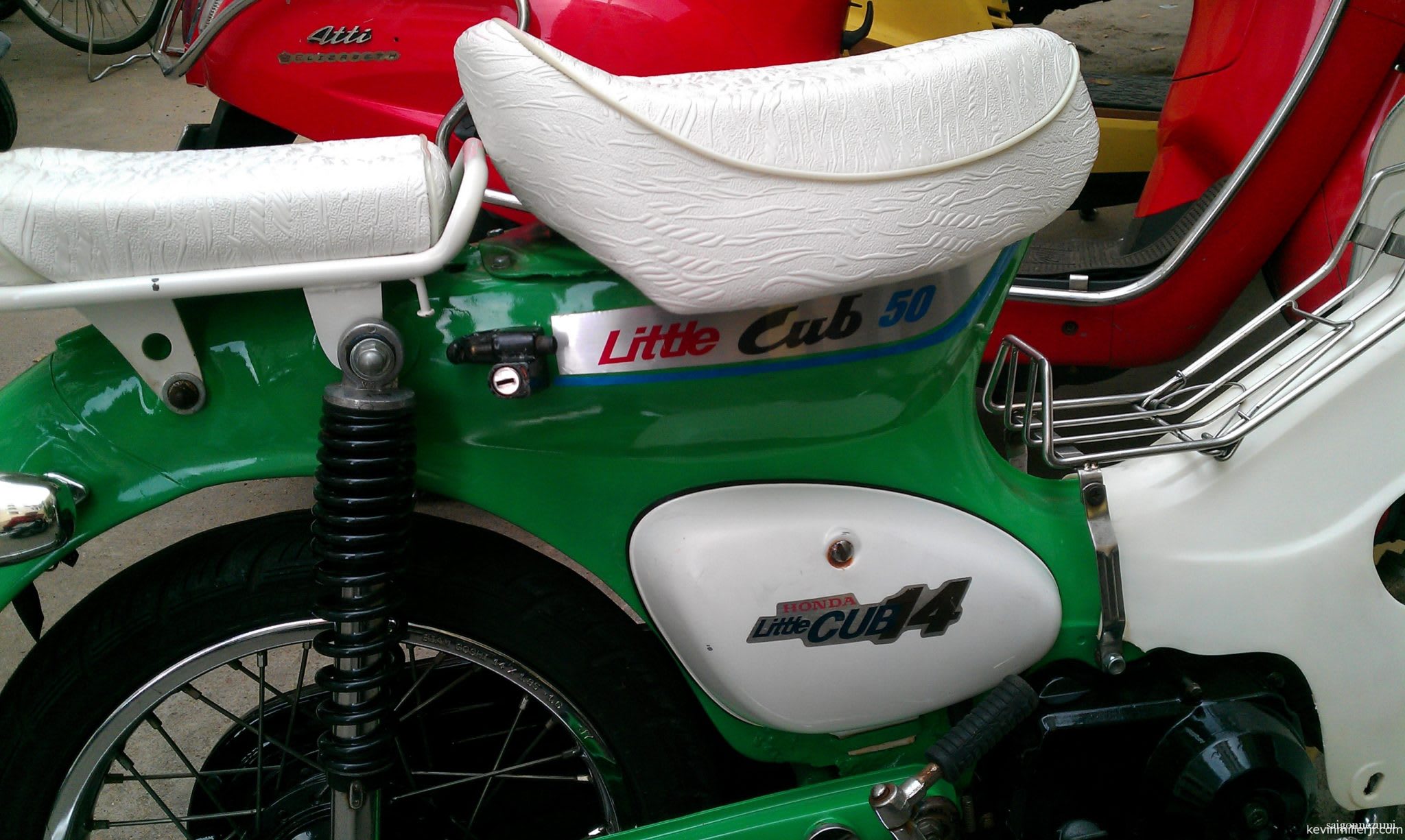 Little Cub - Saigon