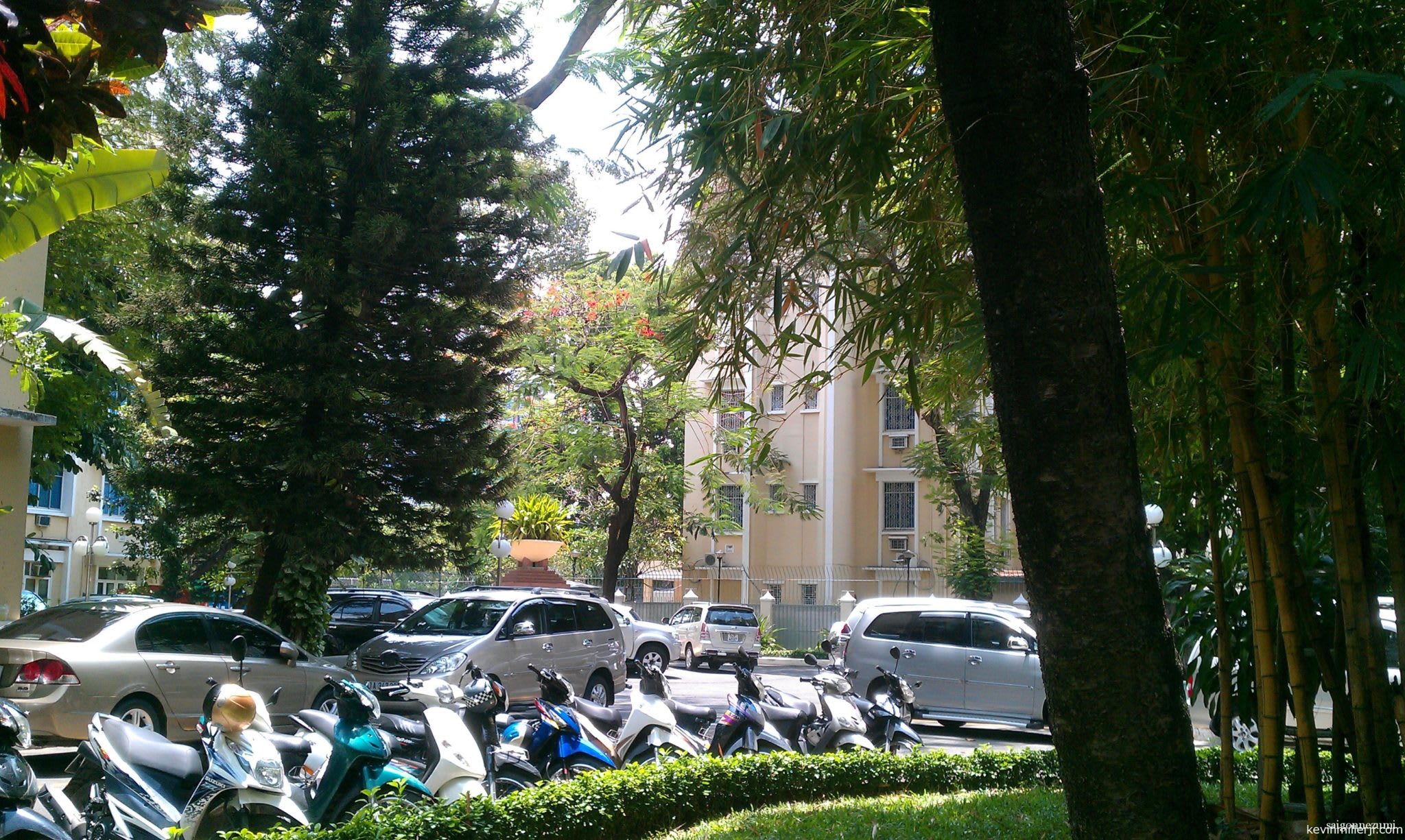 Fosco and the Russian Consulate