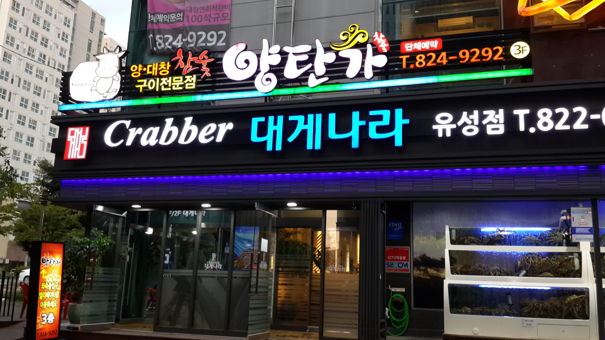 Daejeon, South Korea