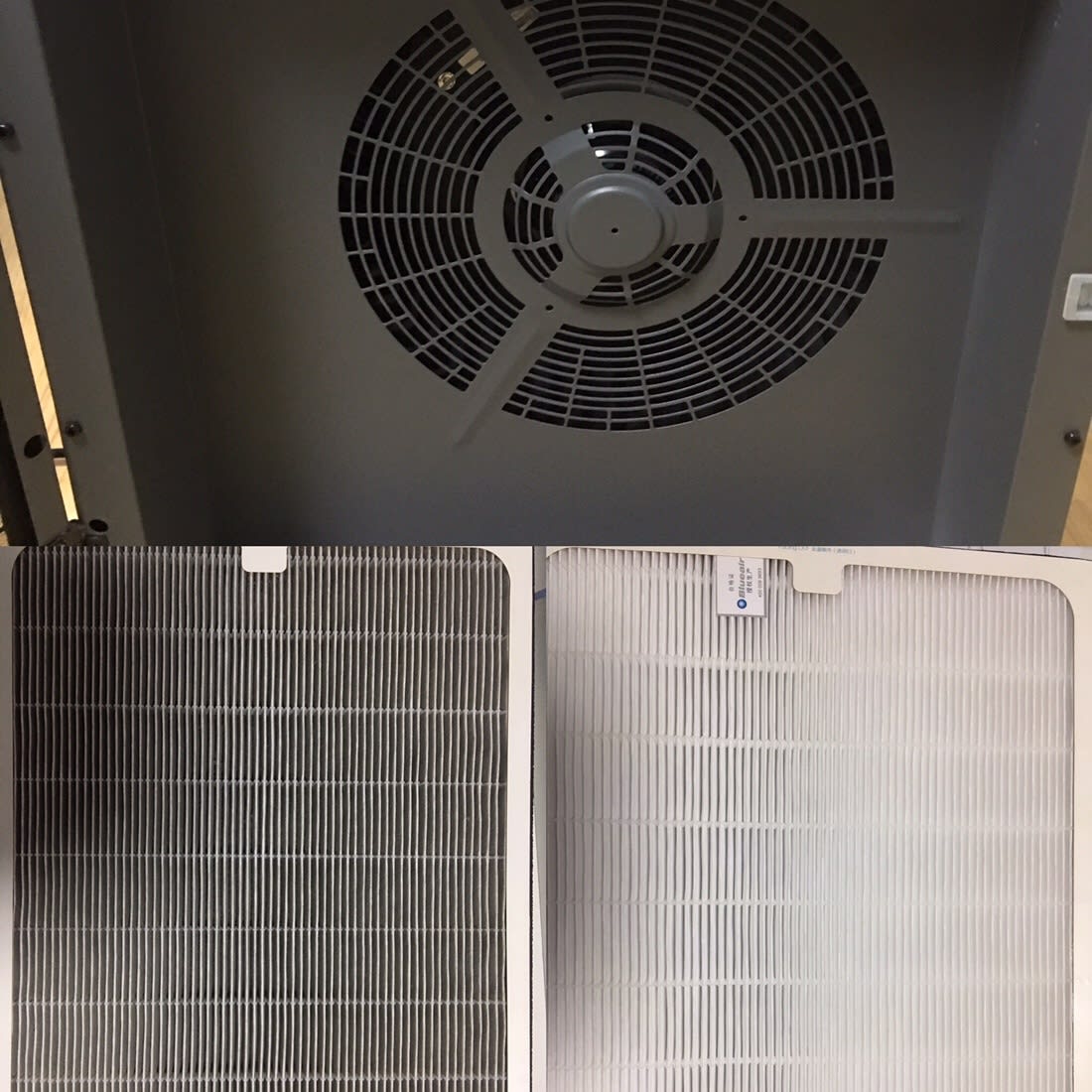 Blueair hepa filter after six months of usage 