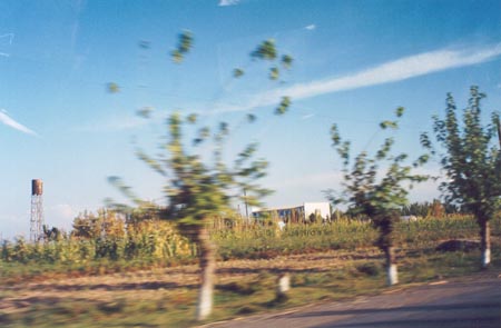 Cotton fields outside of Andijan, Uzbekstan.