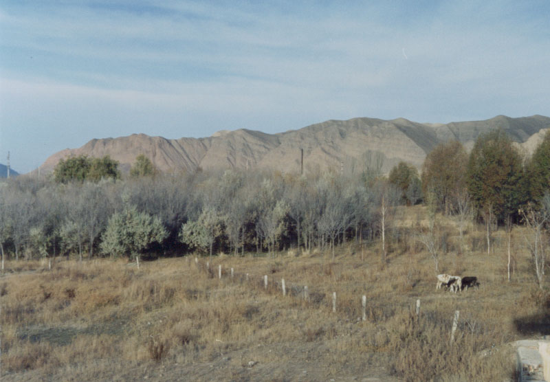 Naryn, Kyrgyzstan.