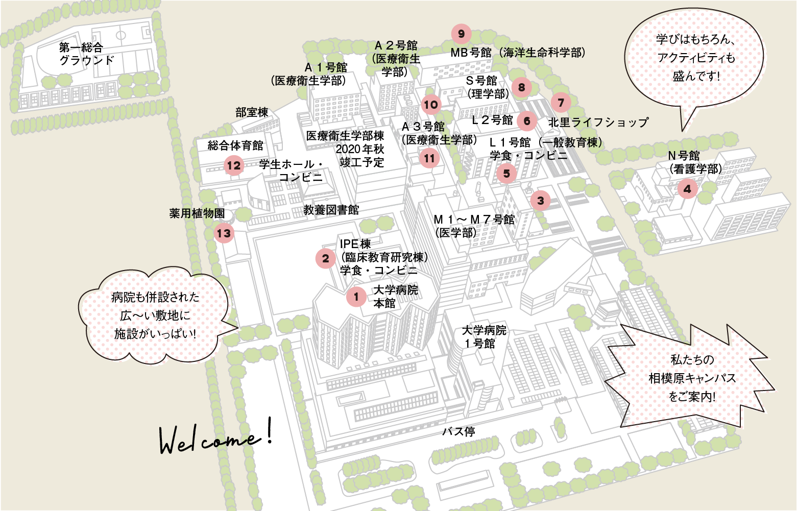 北里大学の学生がコネタで教える 北里コネタマップ 相模原キャンパス編 北里図鑑 キャンパス編