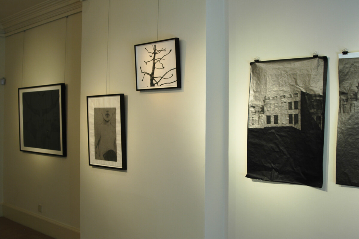 Sława Harasymowicz, "Wolf Man", installation view, The Freud Museum, London, 2012.