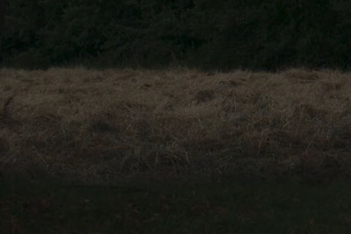 Field thumbnail image