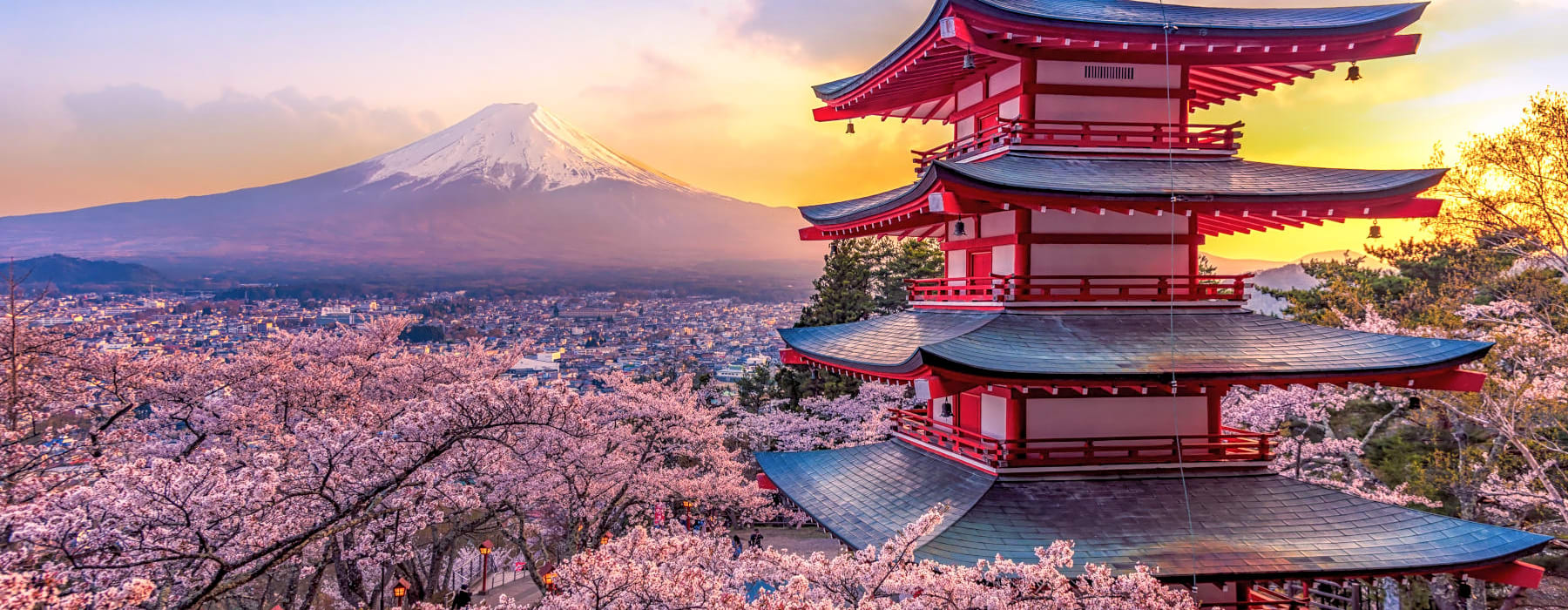 Your view of a Japanese temple, surrounded by sakura blossoms, overlooking Mount Fuji after moving overseas to Japan 