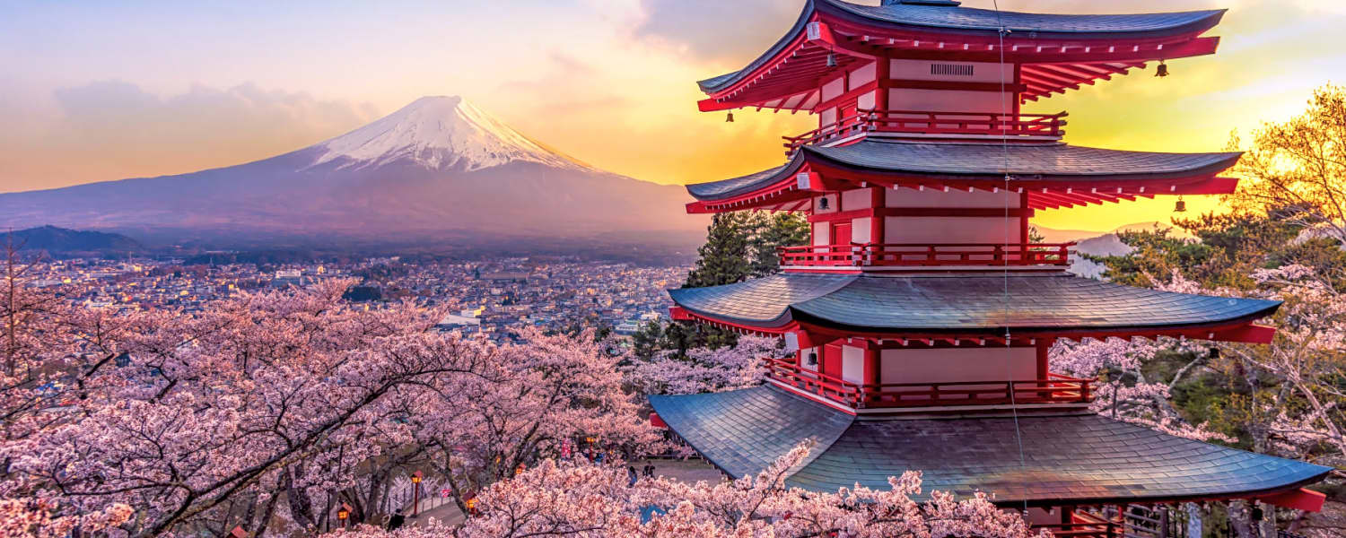 Your view of a Japanese temple, surrounded by sakura blossoms, overlooking Mount Fuji in Japan