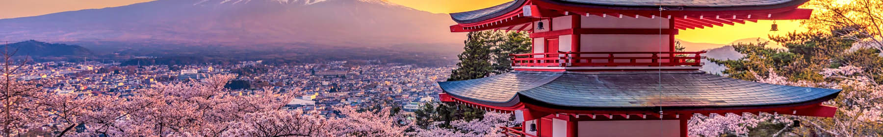 Your view of a Japanese temple, surrounded by sakura blossoms, overlooking Mount Fuji in Japan