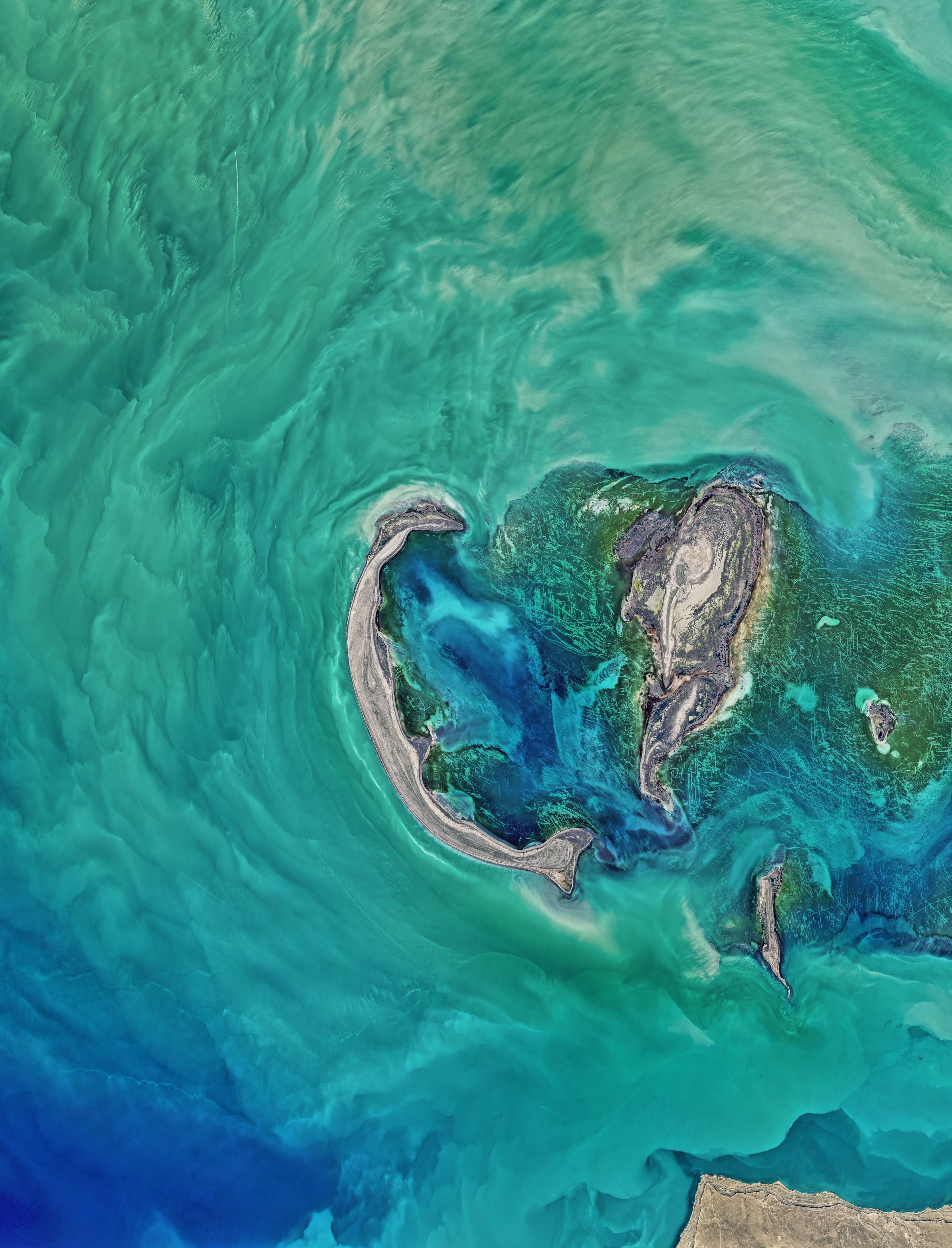 NASA Image