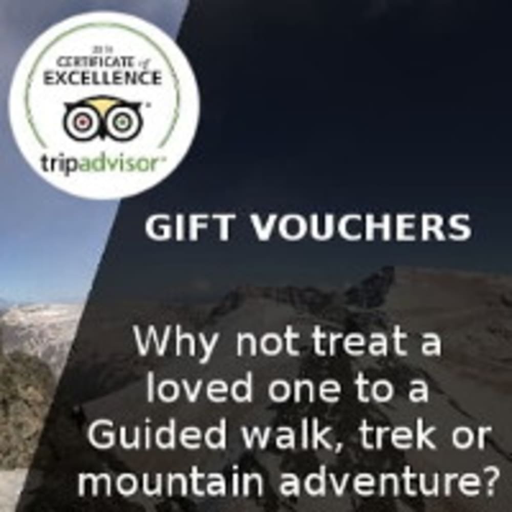 Gift Vouchers