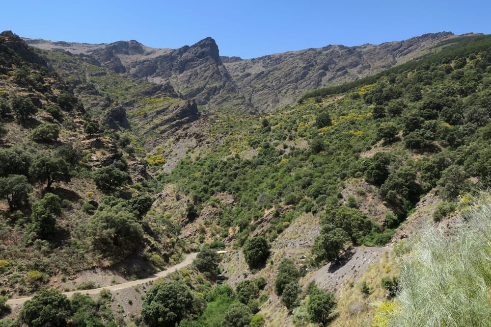 The northern Sulayr
