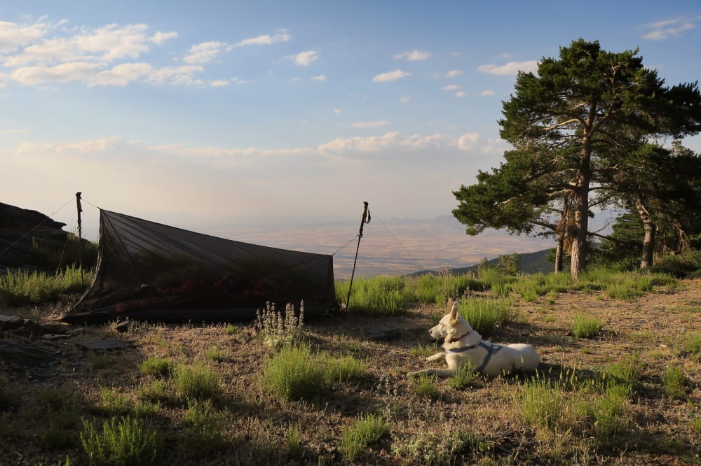 Overnight stop on the Sulayr GR240, Sierra Nevada