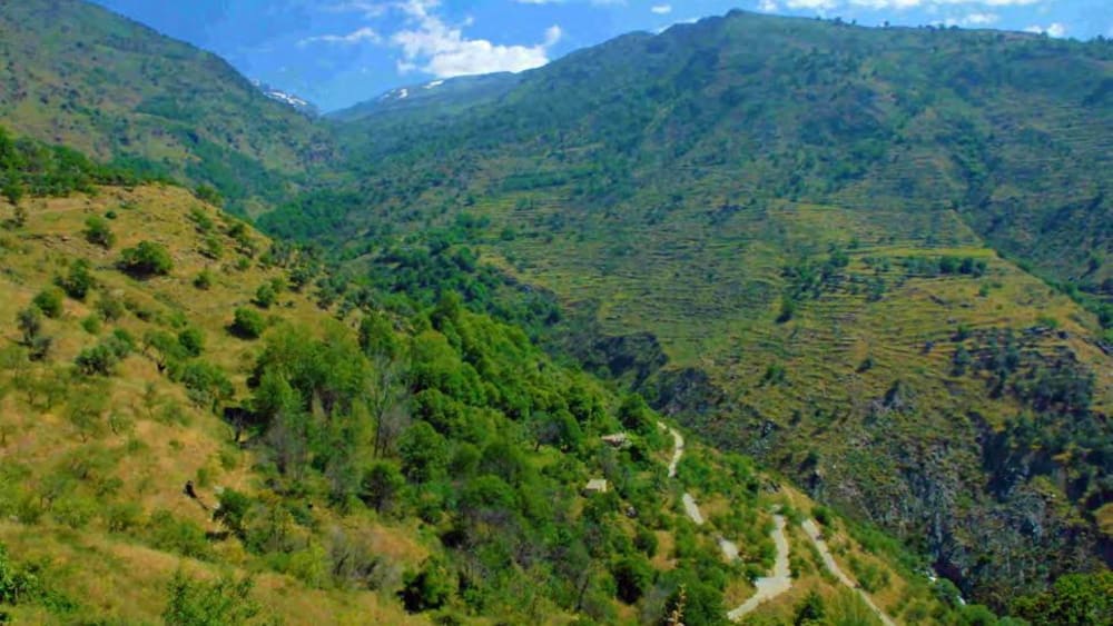 Hike Lanjaron, Cerecillo - Mezquerina