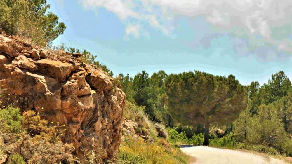 Hike Lanjaron, Sendero Pedro Calvo