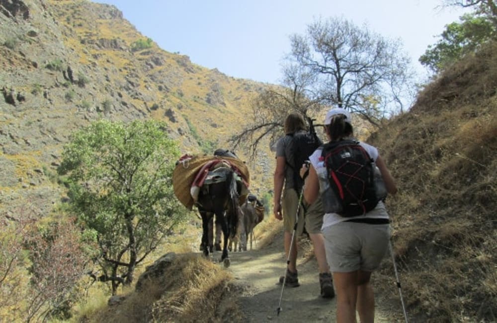 Trekking the Sierra Nevada with Mules