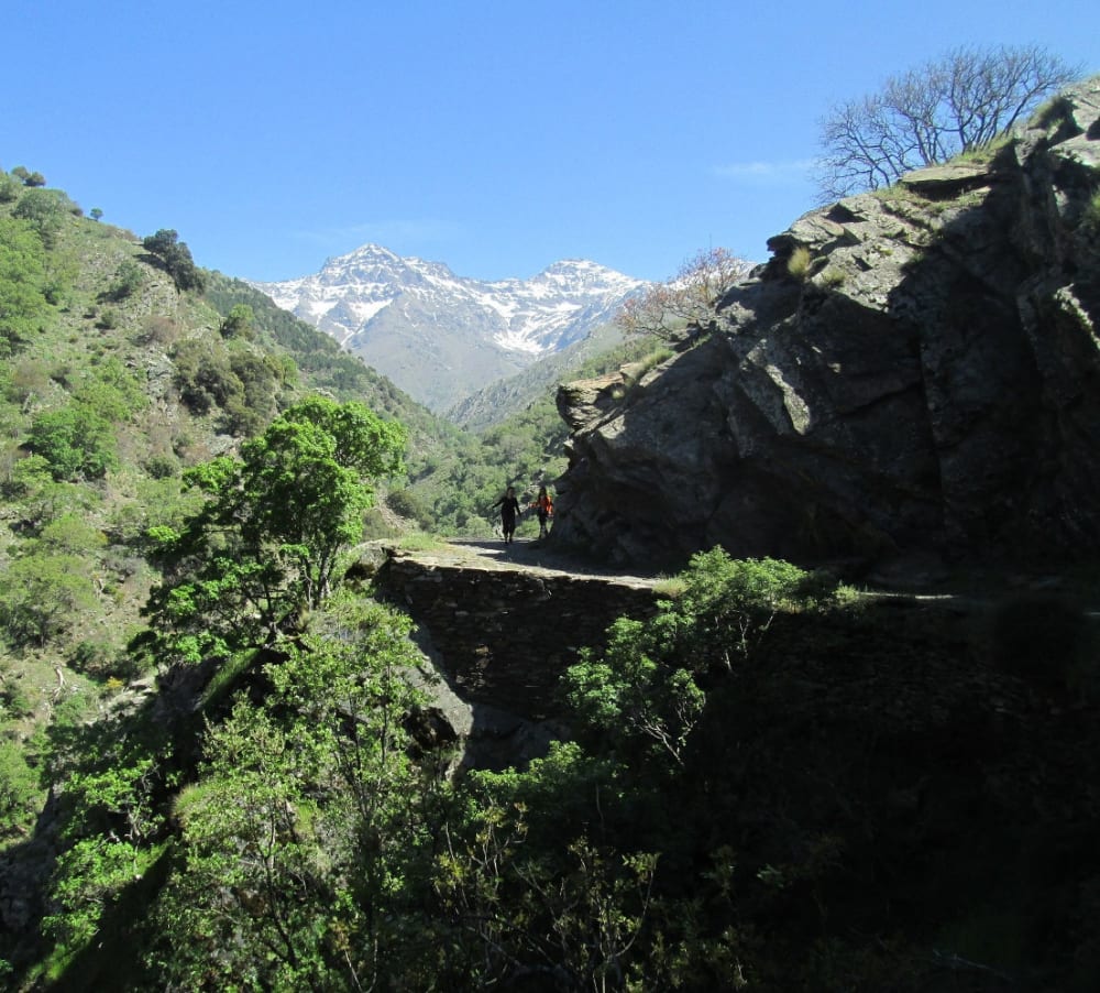 In the valley of the Vereda de Estrella