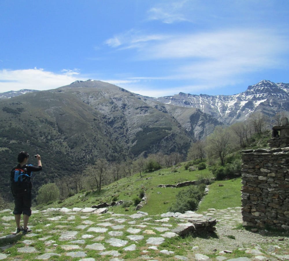 The views from Cortijos de Hornillo