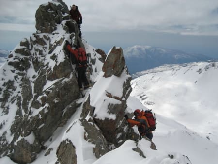 The ridges of the Sierra Nevada are alpine especially in the winter months