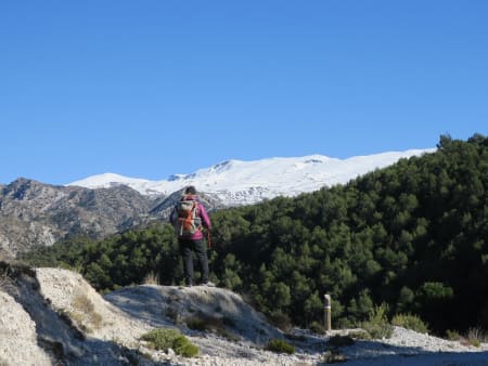Views from Silleta de Padul towards the Sierra Nevada