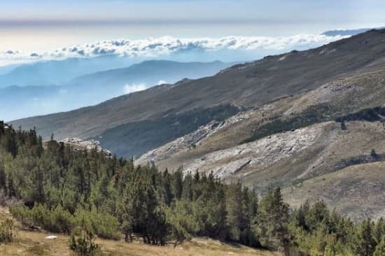Alpujarra Forests Alpujarra Forests
