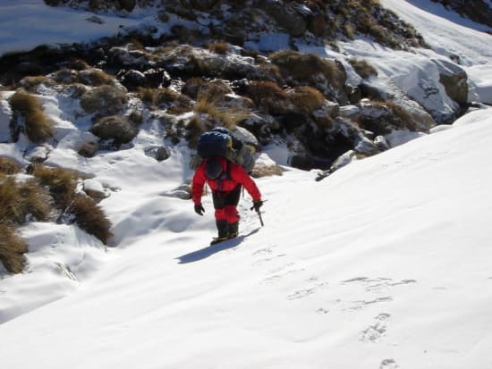 Ascending snow fields