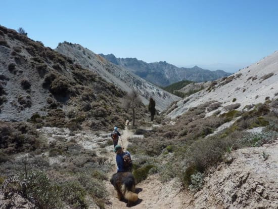 Coming down the dry valley. Los Alayos ridge in the distance