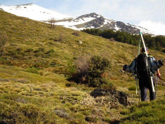 Cerrillo Redondo above the forest