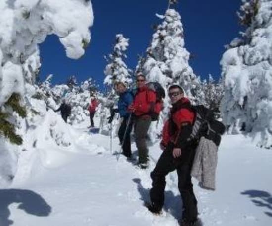 Snowshoeing in the forests above Capileira, Alpujarras