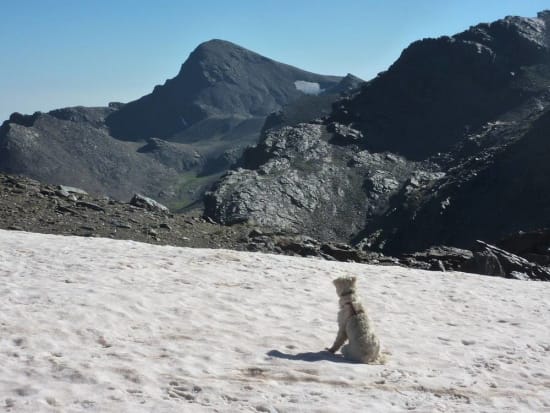 Max and the Cerro de Caballo