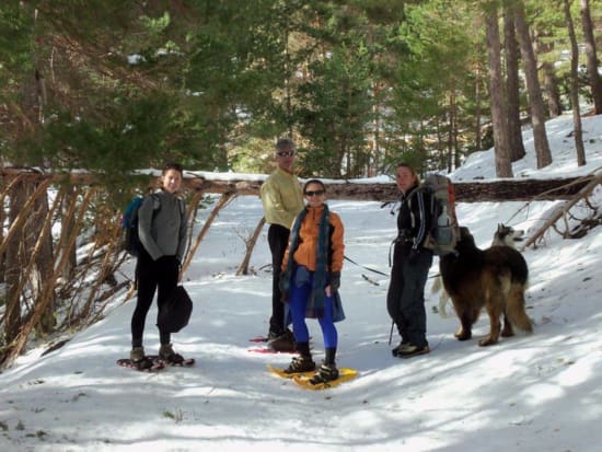 Group enjoying the walk through the forests