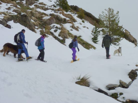 Snowshoeing along the mountainside