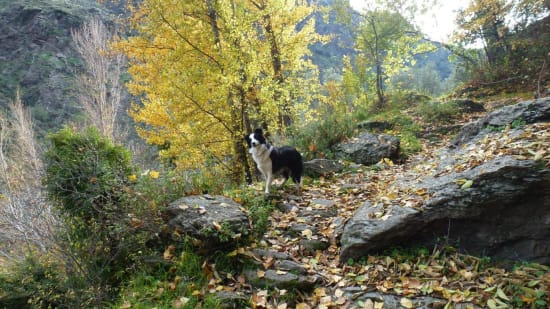 My Favourite Walk in Las Alpujarras