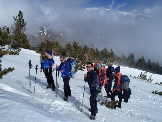 Snowshoeing in the High Forests of the Alpujarras