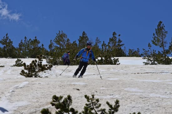 Some amazing forest skiing in the Sierra Nevada