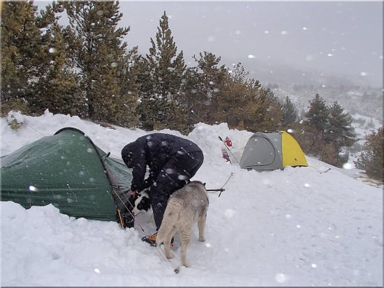 Setting up Camp