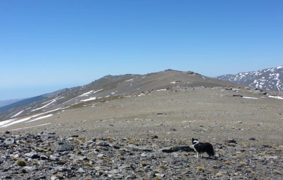 Looking south from the start of the ridge. Yes Meg, it is a long way!