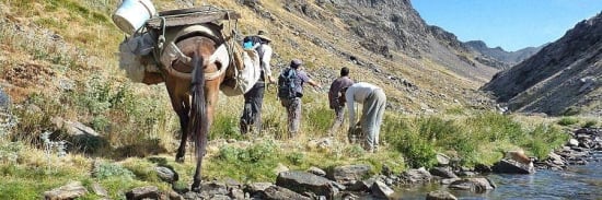 Lightweight backpacking with mules