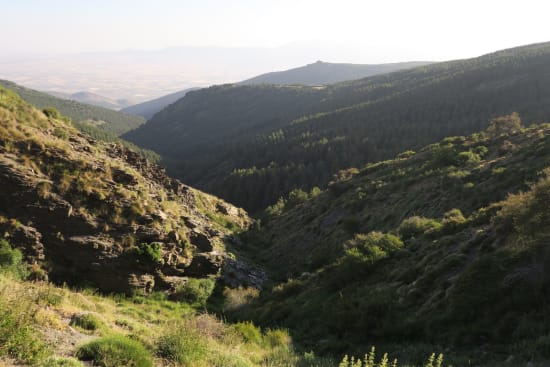 Day 3 - the spectacular valley of Arroyo de los Castaños