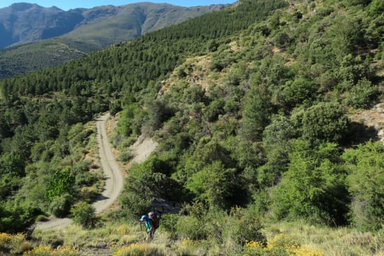 Day 2 - climbing up towards the pine forests