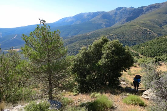 Day 2 - Quick stop by a shaded tree