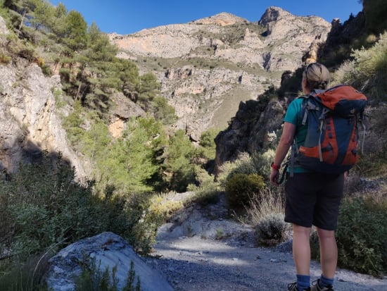 In the Barranco de Rambla Seca looking up to Boca de la Pesca