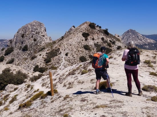 At the col between Puntales del Tigre and Corazon de la Sandia