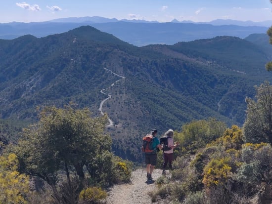 The forested hills on the descent that lead to Silleta de Padul