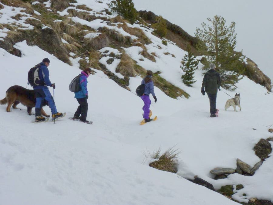 Guided Snowshoeing Tours Sierra Nevada, Spain