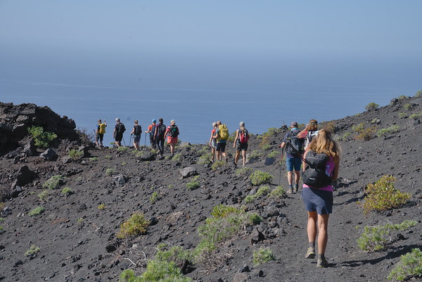 The Southern Volcanoes