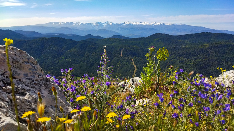 Peñon de la Mata