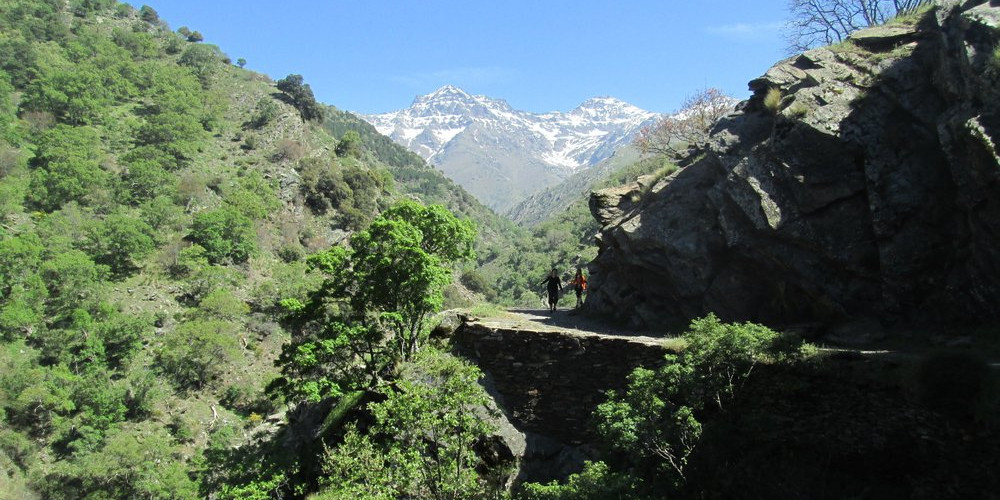 The Vereda de Estrella path